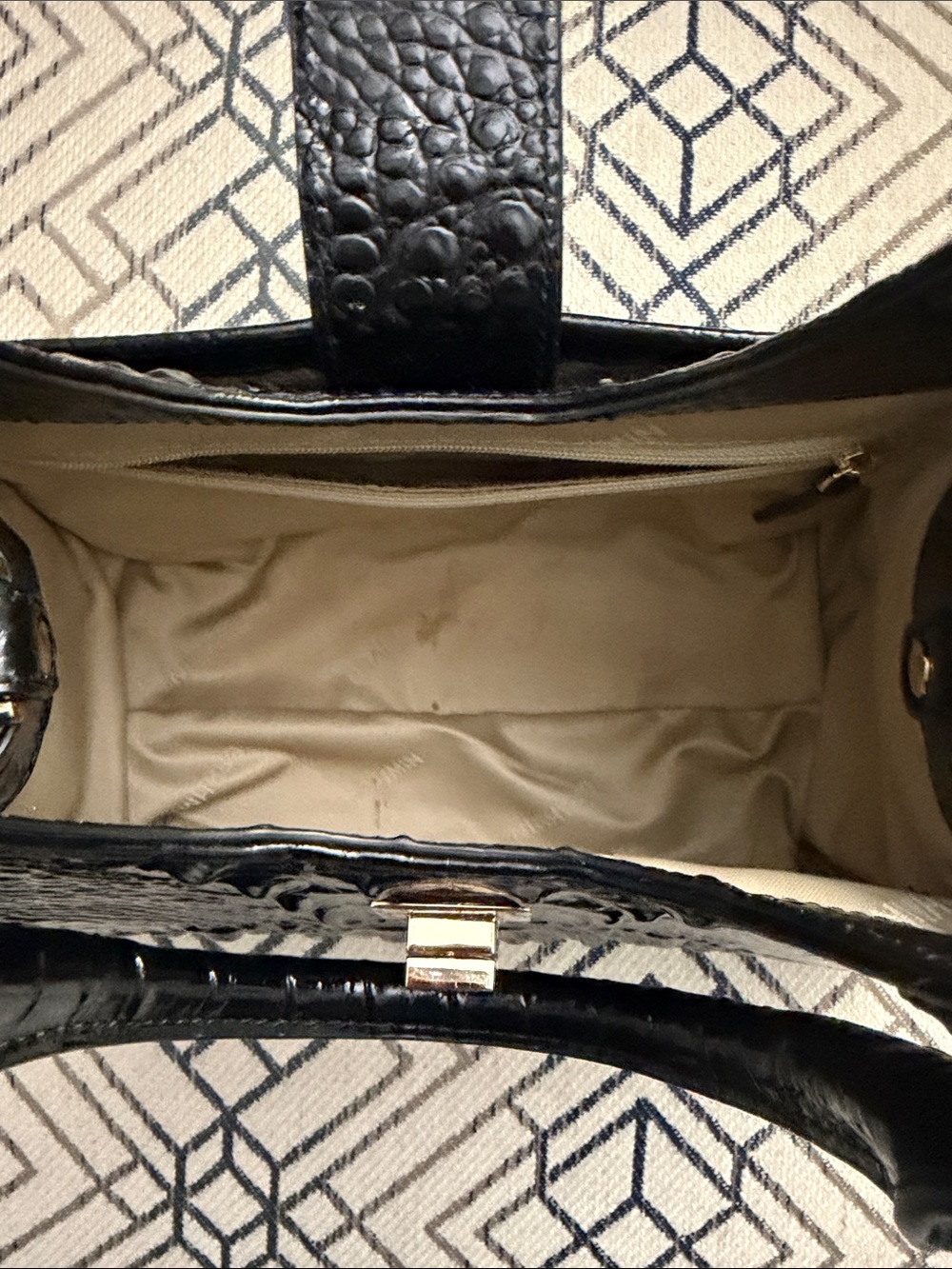 🎉Brahmin Adrian in Black Melbourne🎉 - Picture 4 of 5